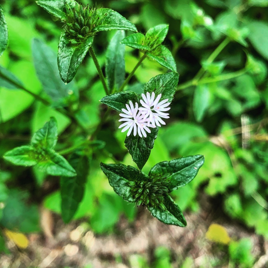 06C391E5-76B6-443F-8E9E-340696A78397