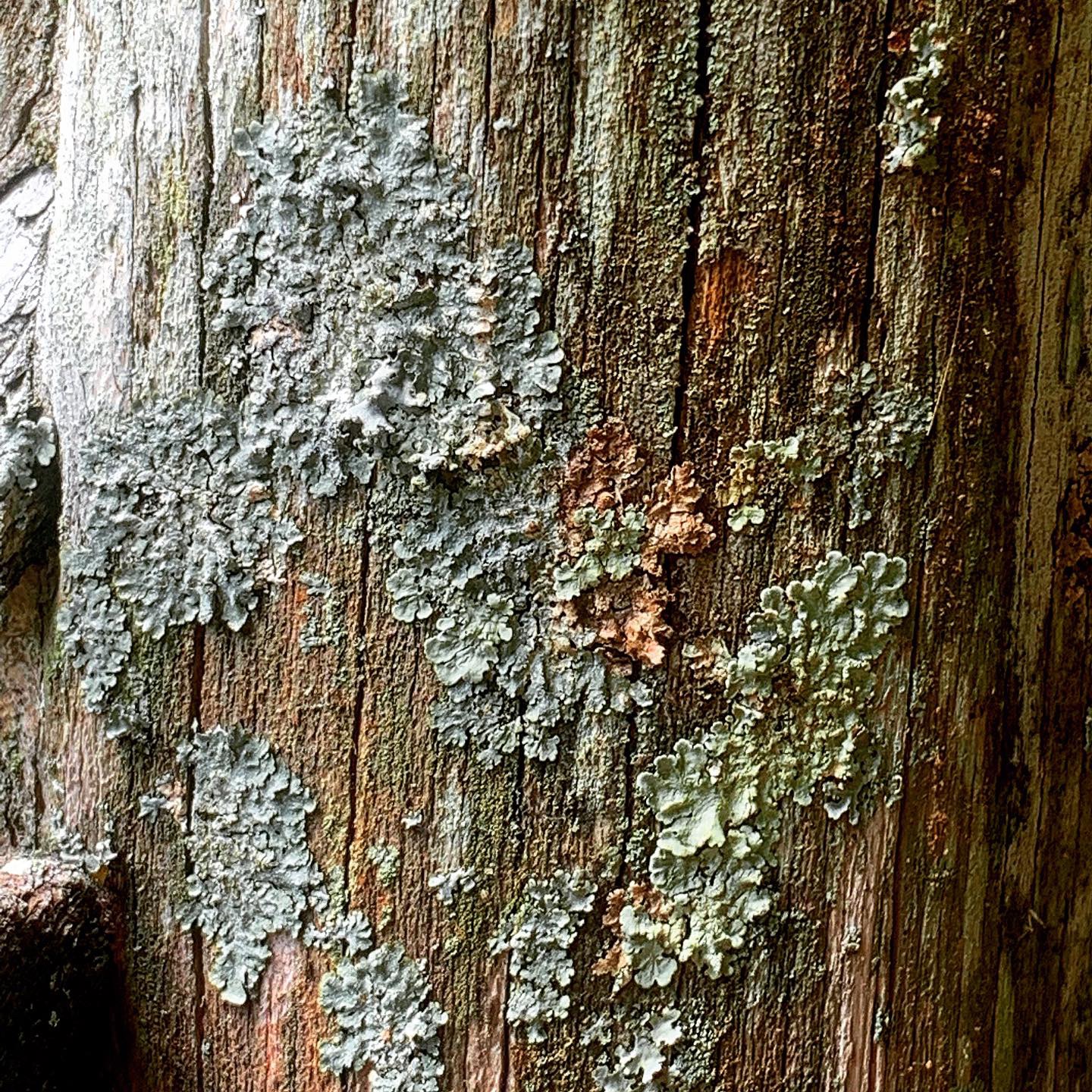 08F6BFEA-7785-46F8-9BE3-126461231CE5