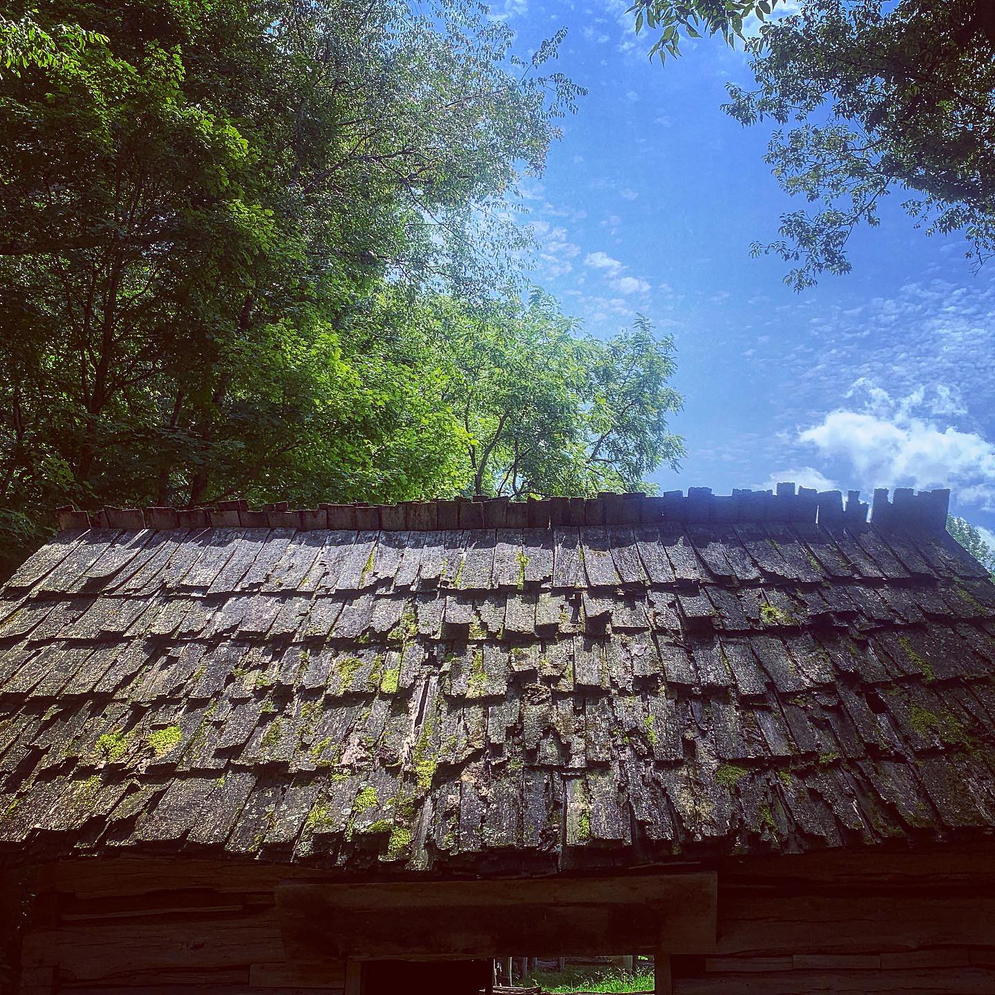 0CADEDDF-660B-4359-B90E-5E8A697EFB56