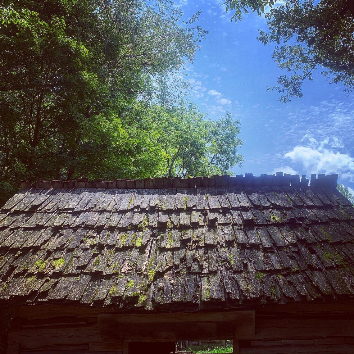 0CADEDDF-660B-4359-B90E-5E8A697EFB56