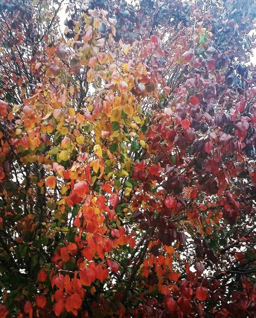 13CA5F61-13BE-43BD-8BA5-4DF1AB102F05