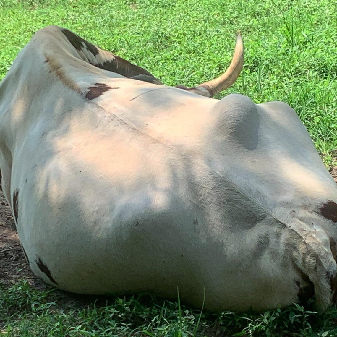 14351730-E9D7-4EDB-89C4-EA07F1AD42F1