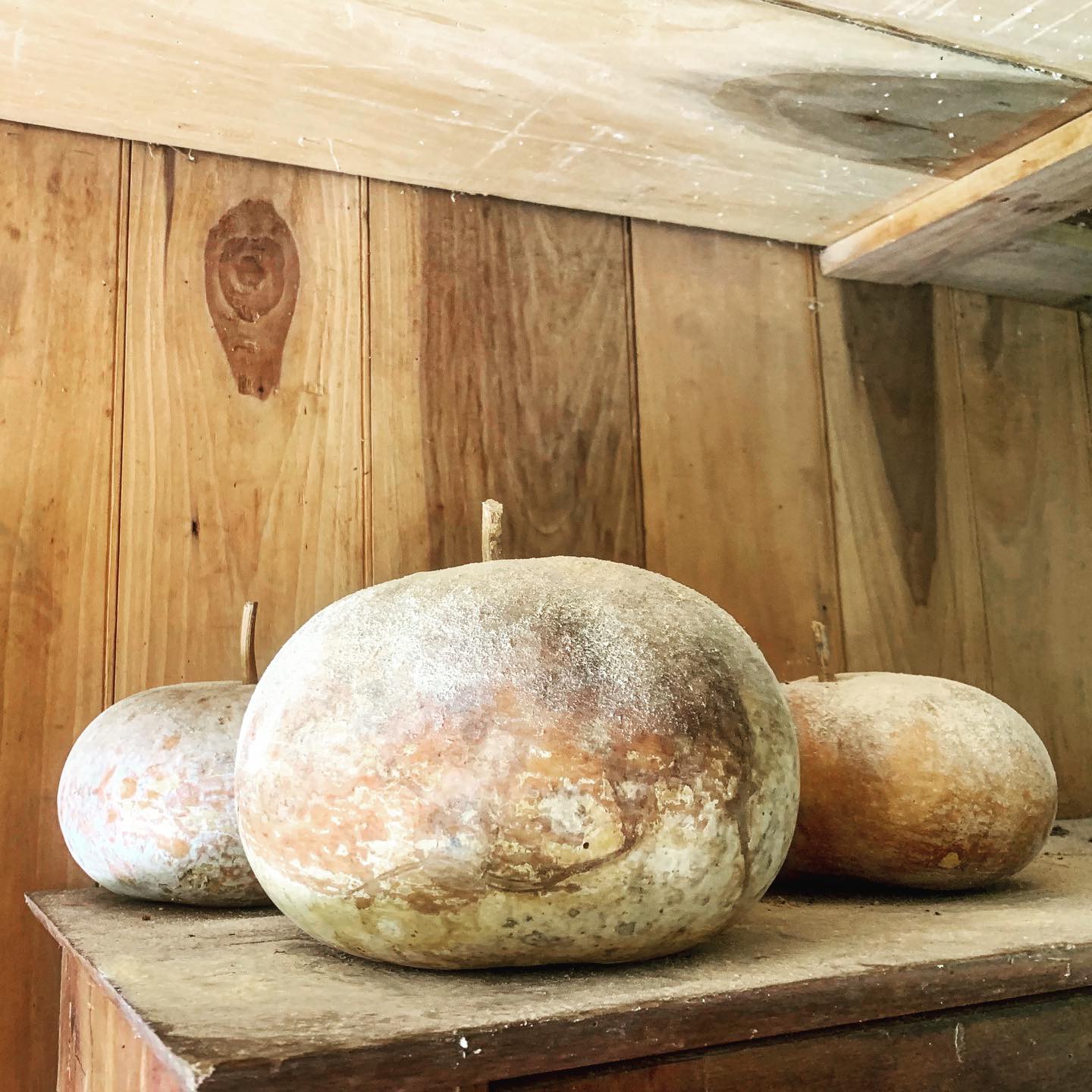 2FFC0966-E647-4B46-9A34-E95A58260739