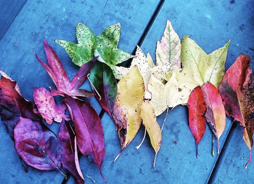 39D7995D-B62E-4E1F-A3F9-55D50B799384