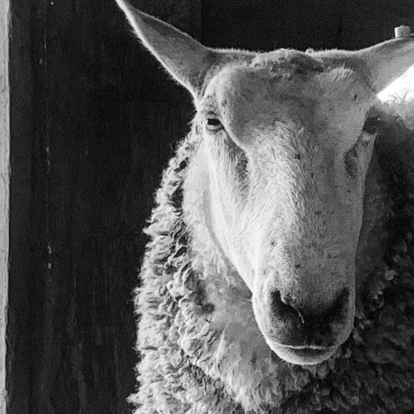 3B7C91B6-6E76-4ECE-90CF-6142B3AC769C