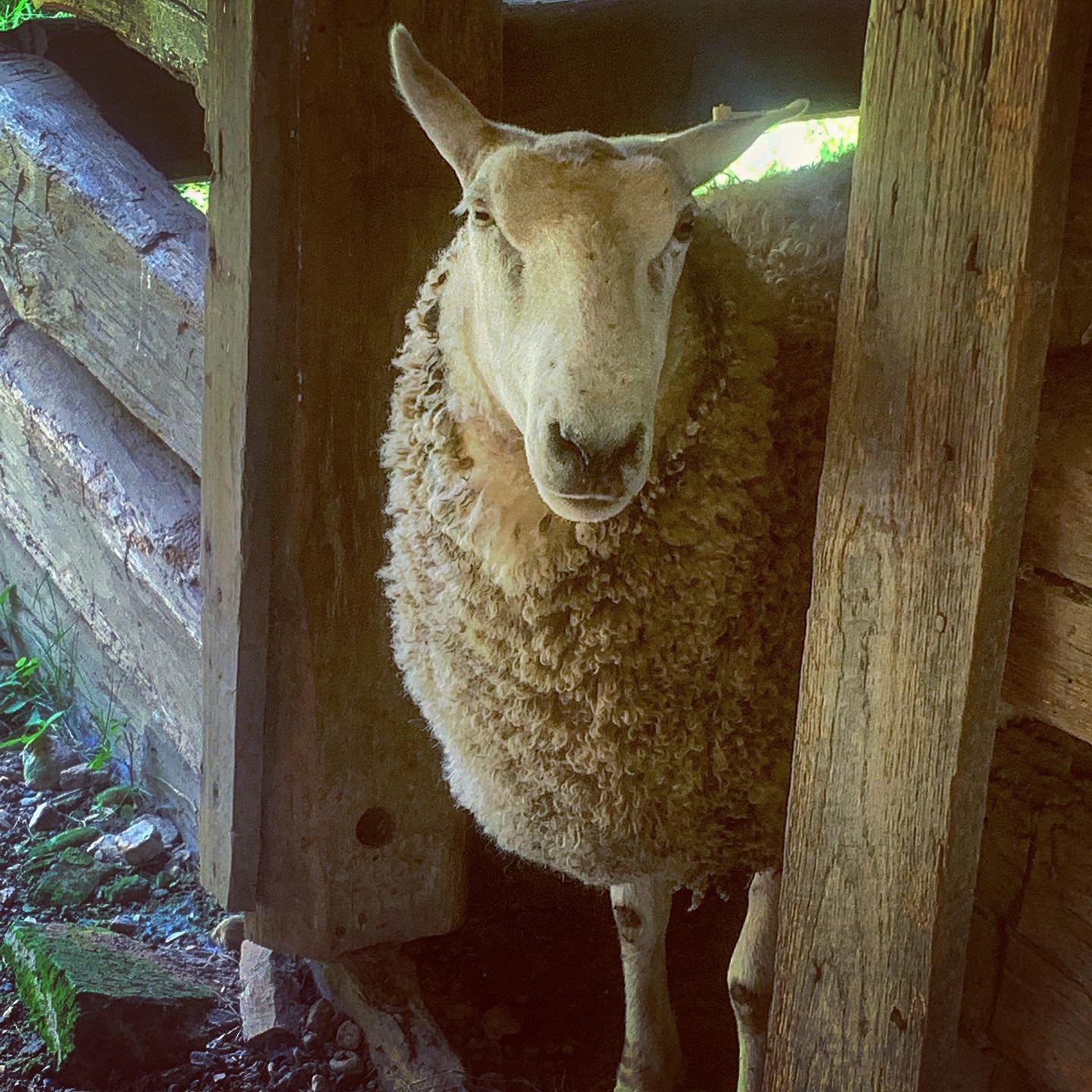 3B9A8418-5A50-4D75-93CD-CA10BD84A1CB