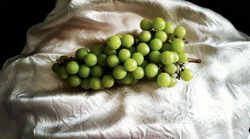 4E8ABE2C-BD86-4021-BE27-DACA3A6347AA