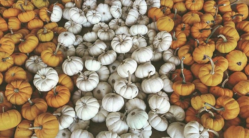 4EB11F58-12D5-4F31-8DFA-E066DD926714