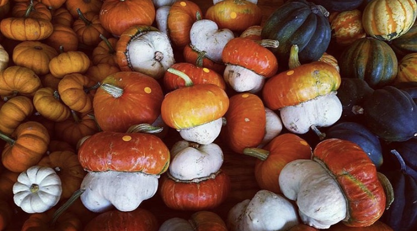 4F1DC30D-E692-436F-A916-565FA8749817