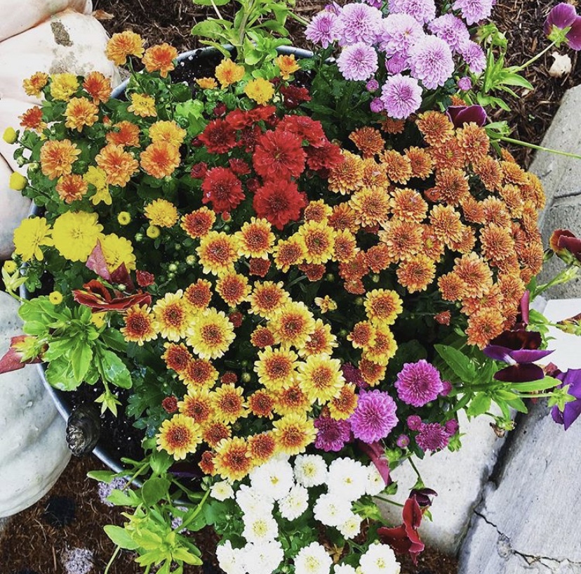 5120A193-99BD-427A-97EB-22070E34B01D