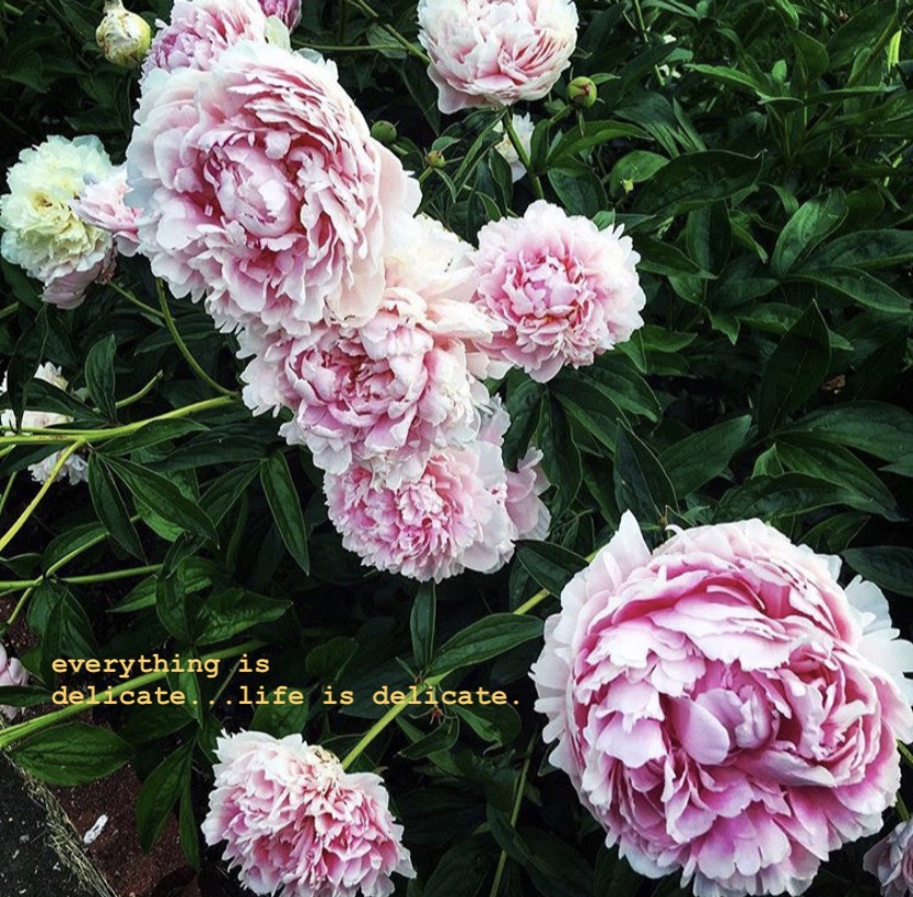 624DA201-E0C5-4DD8-94DB-64B32A460C4F