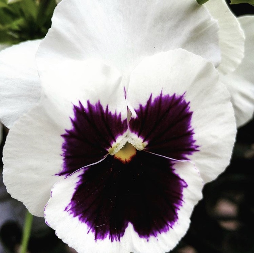 642312BB-346F-4D22-91FF-771DA200BE35