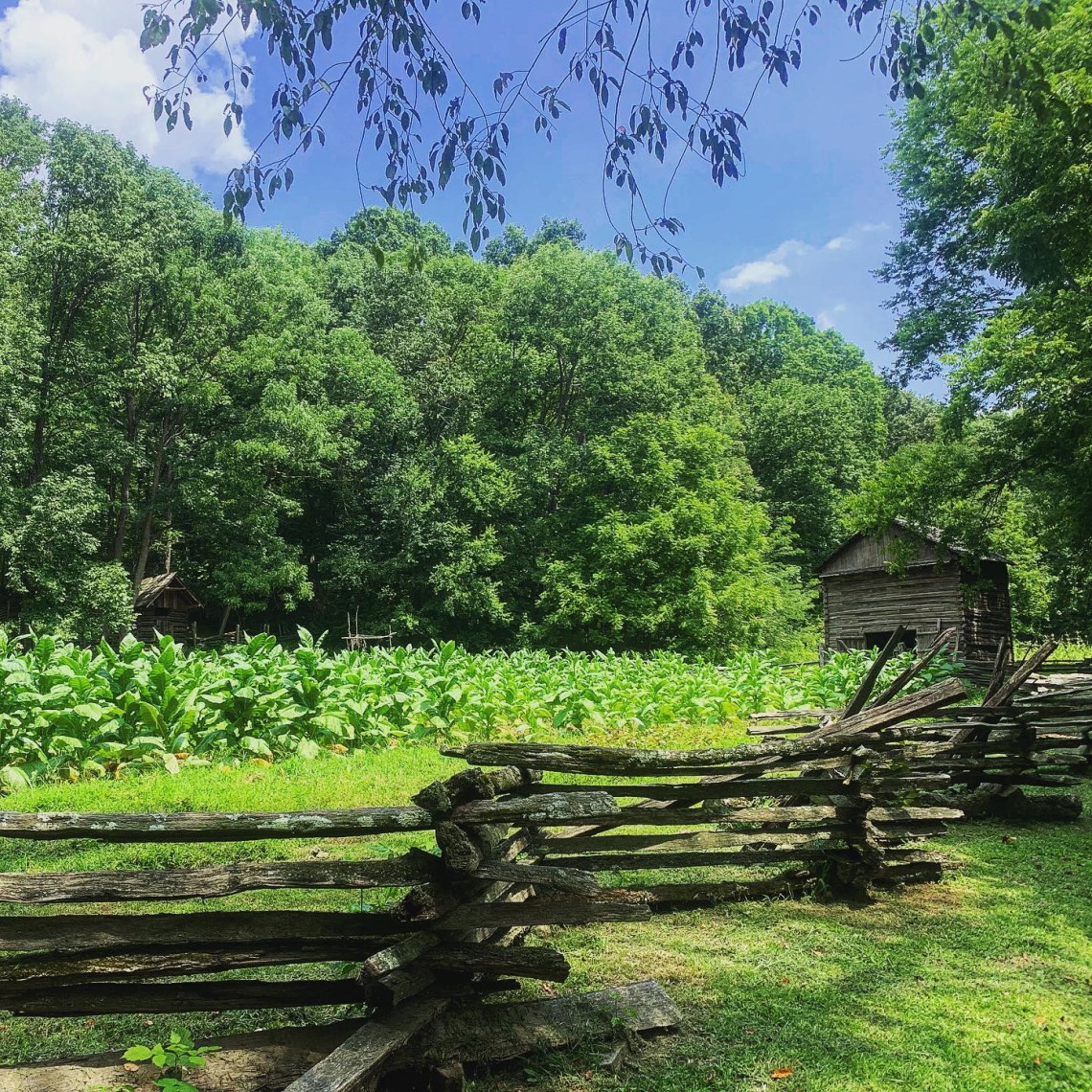 6629FD4E-9844-4456-9792-0013FA556D67