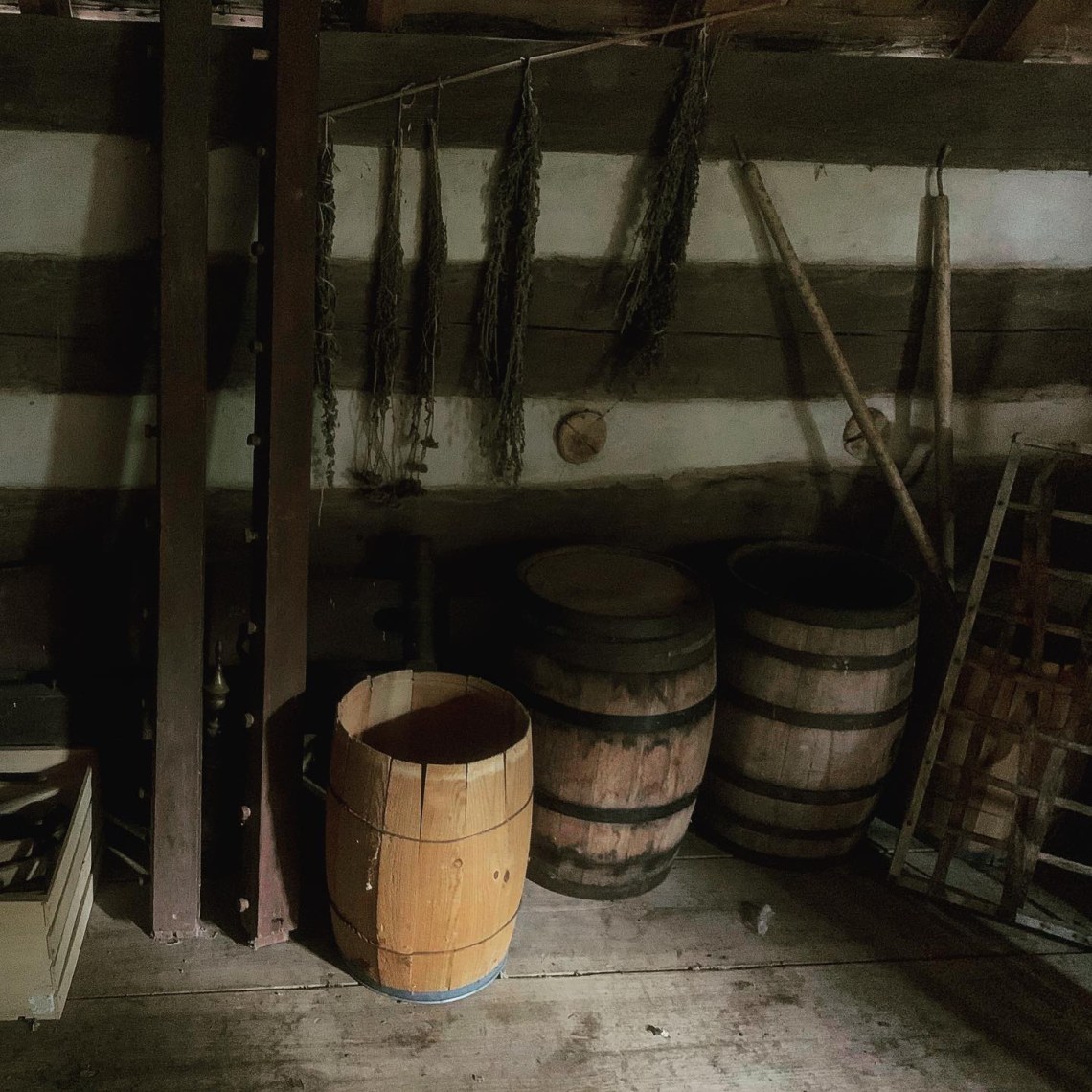 6A012424-C0C3-4328-BC4A-26D7DFDFBE04