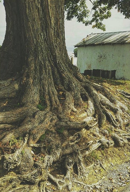 78872BD1-B68B-4A42-9928-771C048AAB34