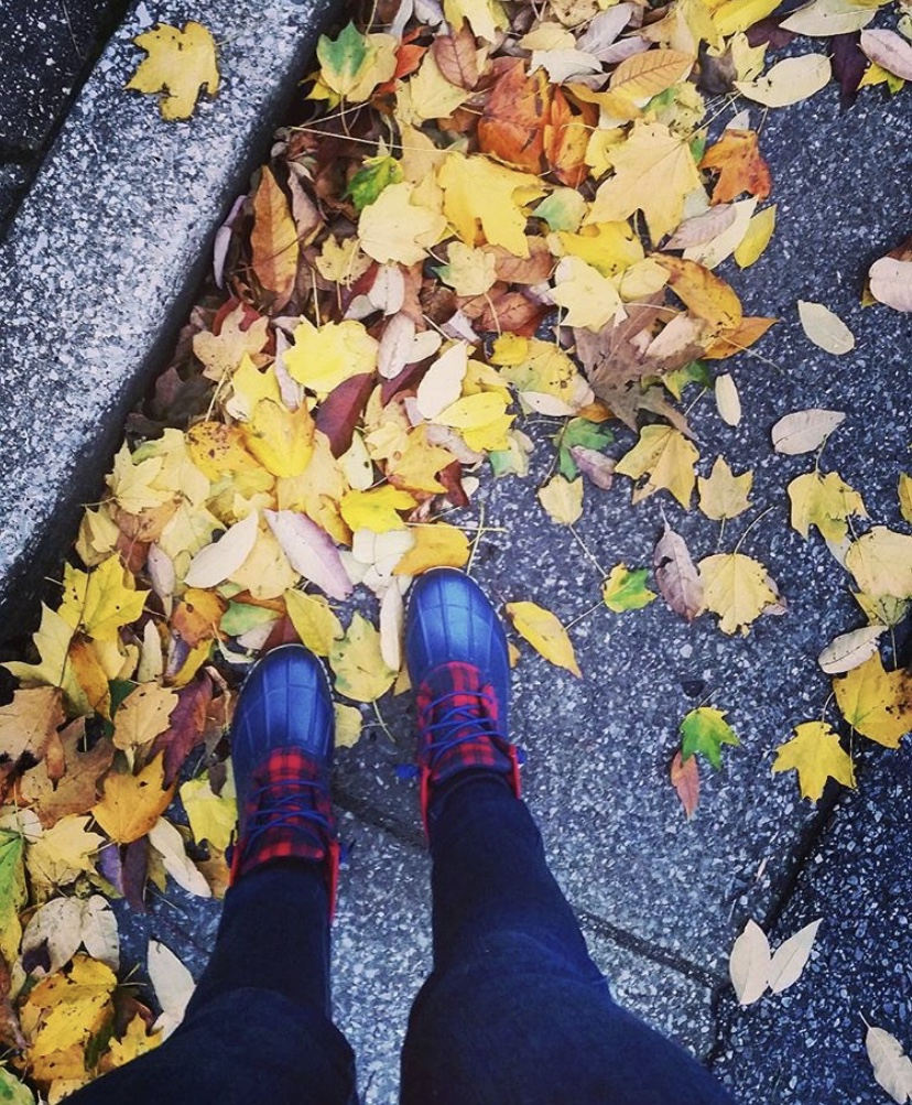 84AC1BA8-FE00-4D9D-AB4A-0B00C31EC716