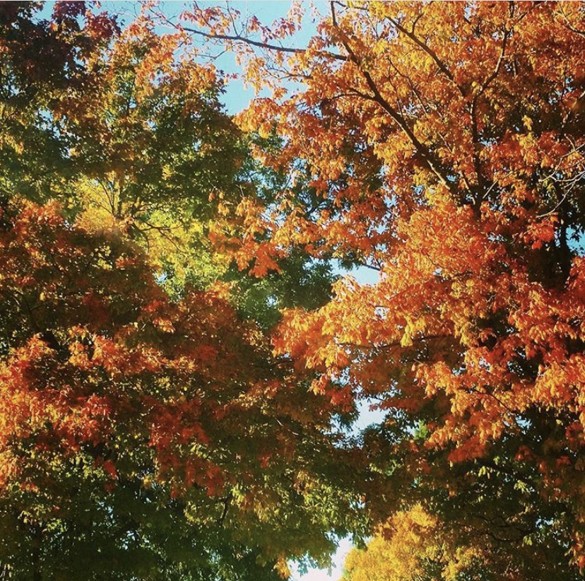 864B842A-56A8-497B-AB6C-8B7E57A39BFF