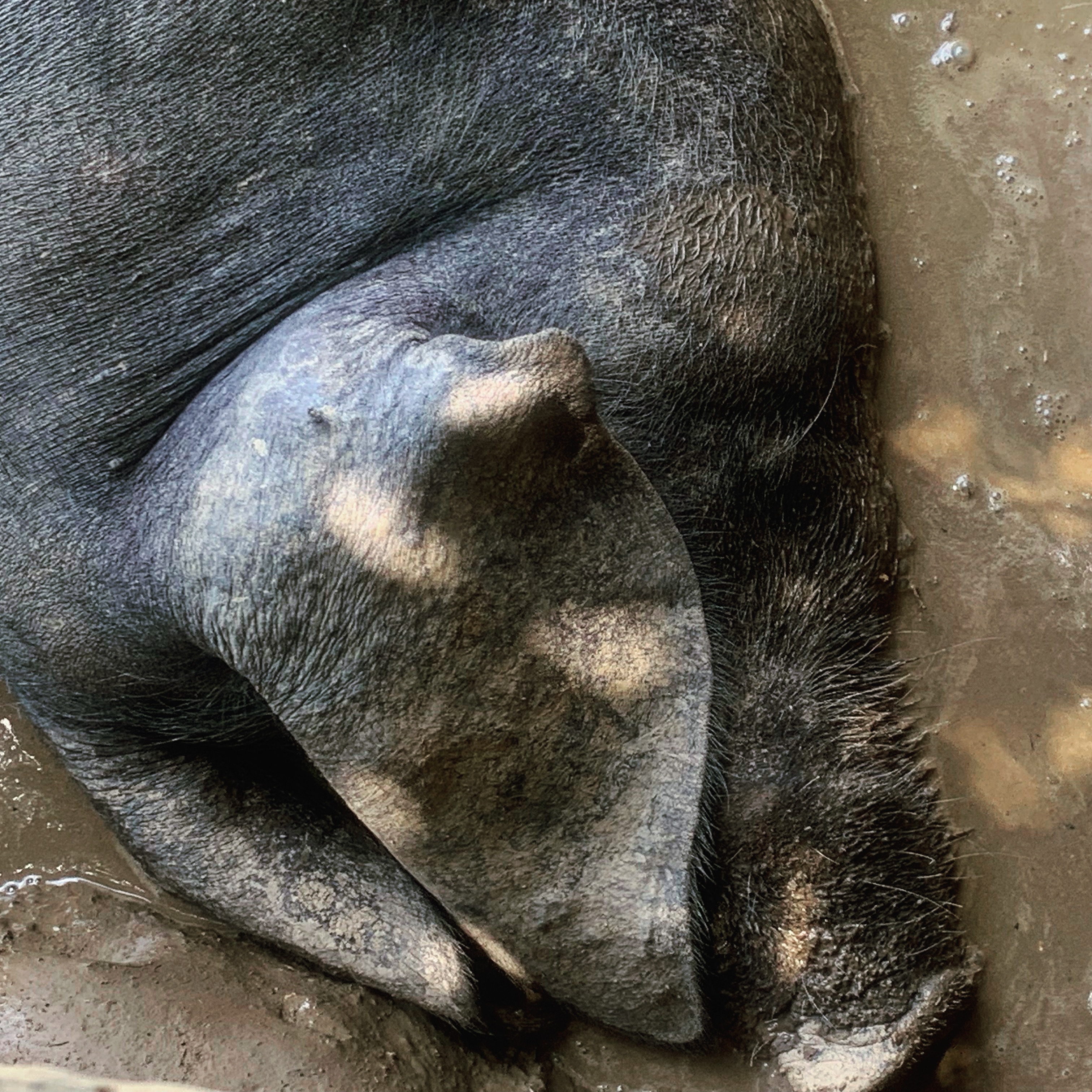 8C6654CC-9881-4E1C-8AA3-16FB58508A9B