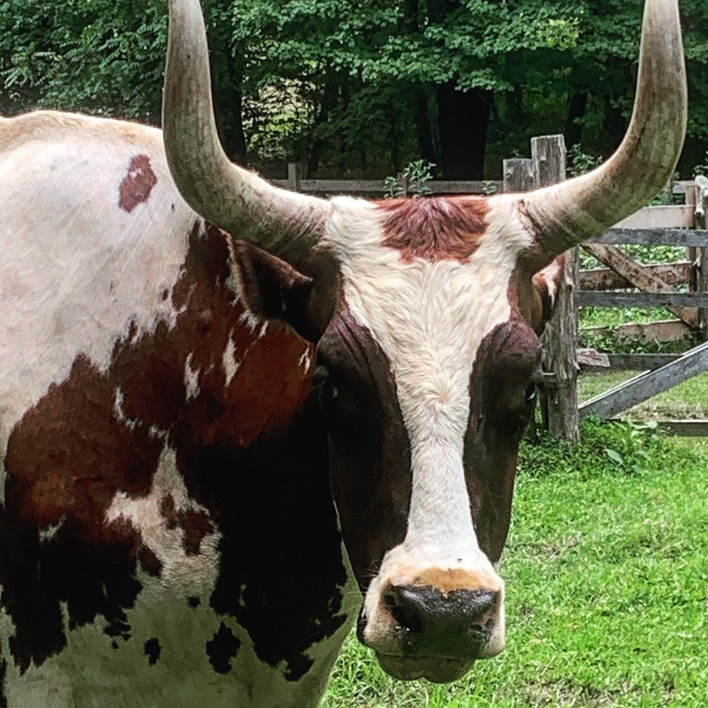 924063AE-FD18-4616-B004-76A8CBEDACFD