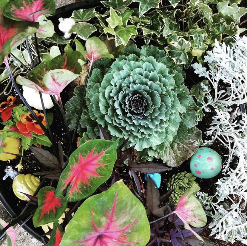 93A9BF77-413C-4171-9A53-83D57FF8626B