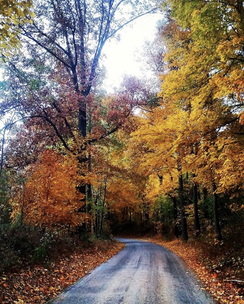 A29C43FB-4F0B-4ED8-8E7F-AD5CDD3A86B4