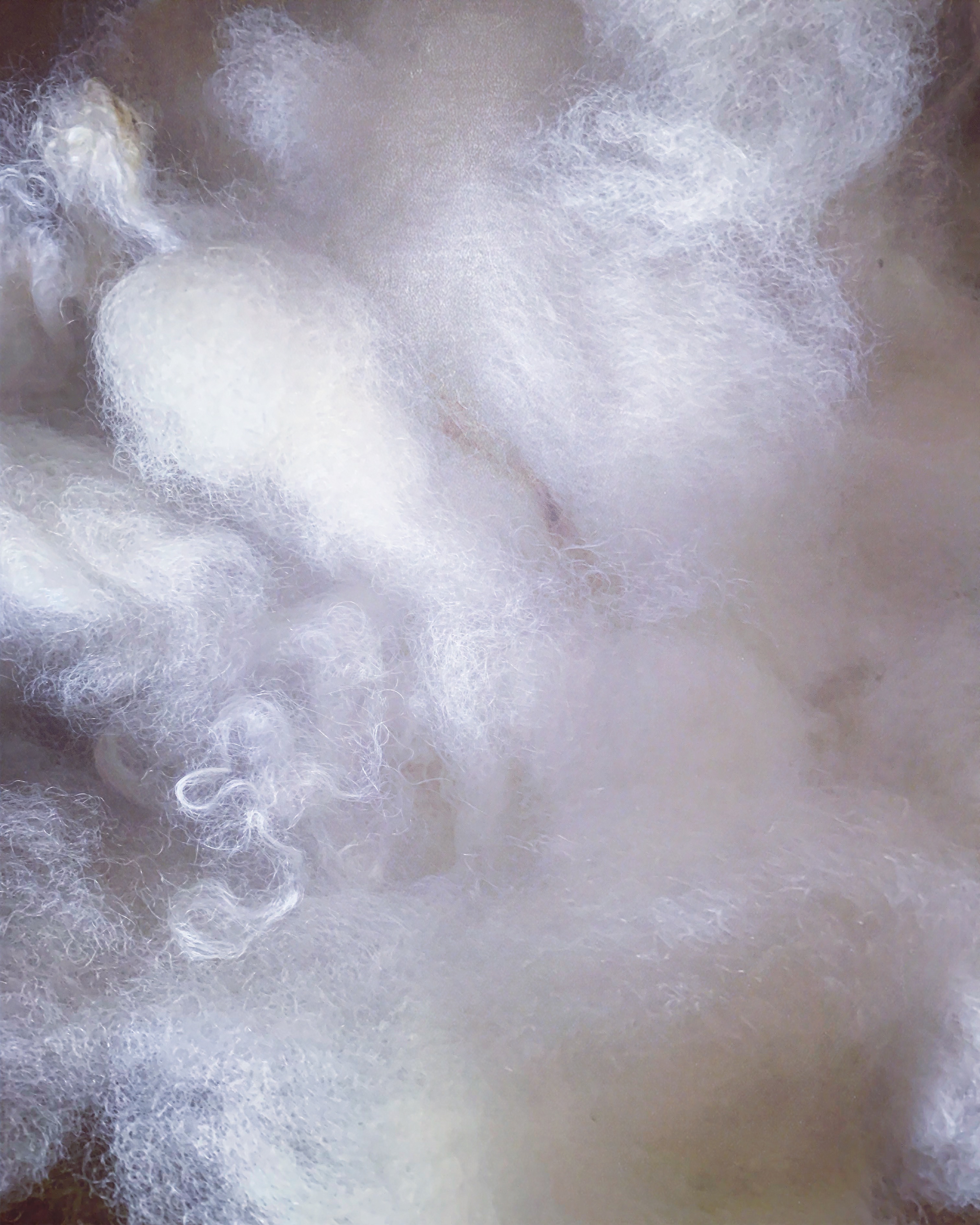 C16C6BDB-574A-444B-8A86-B003BA0765FF