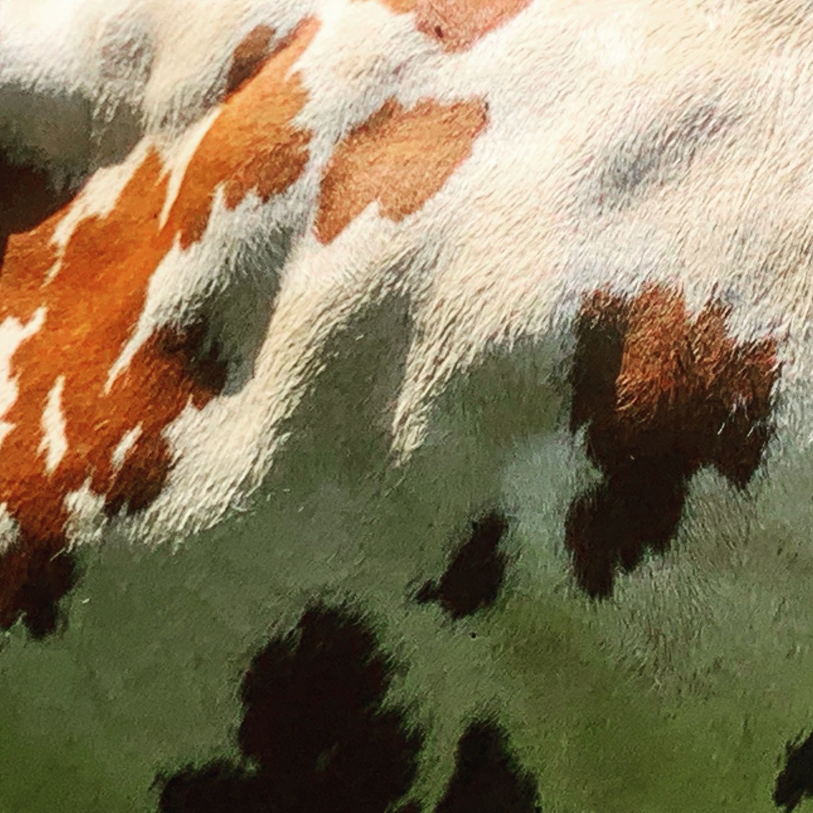 D366D30F-9B88-4407-9776-B5400DB66859