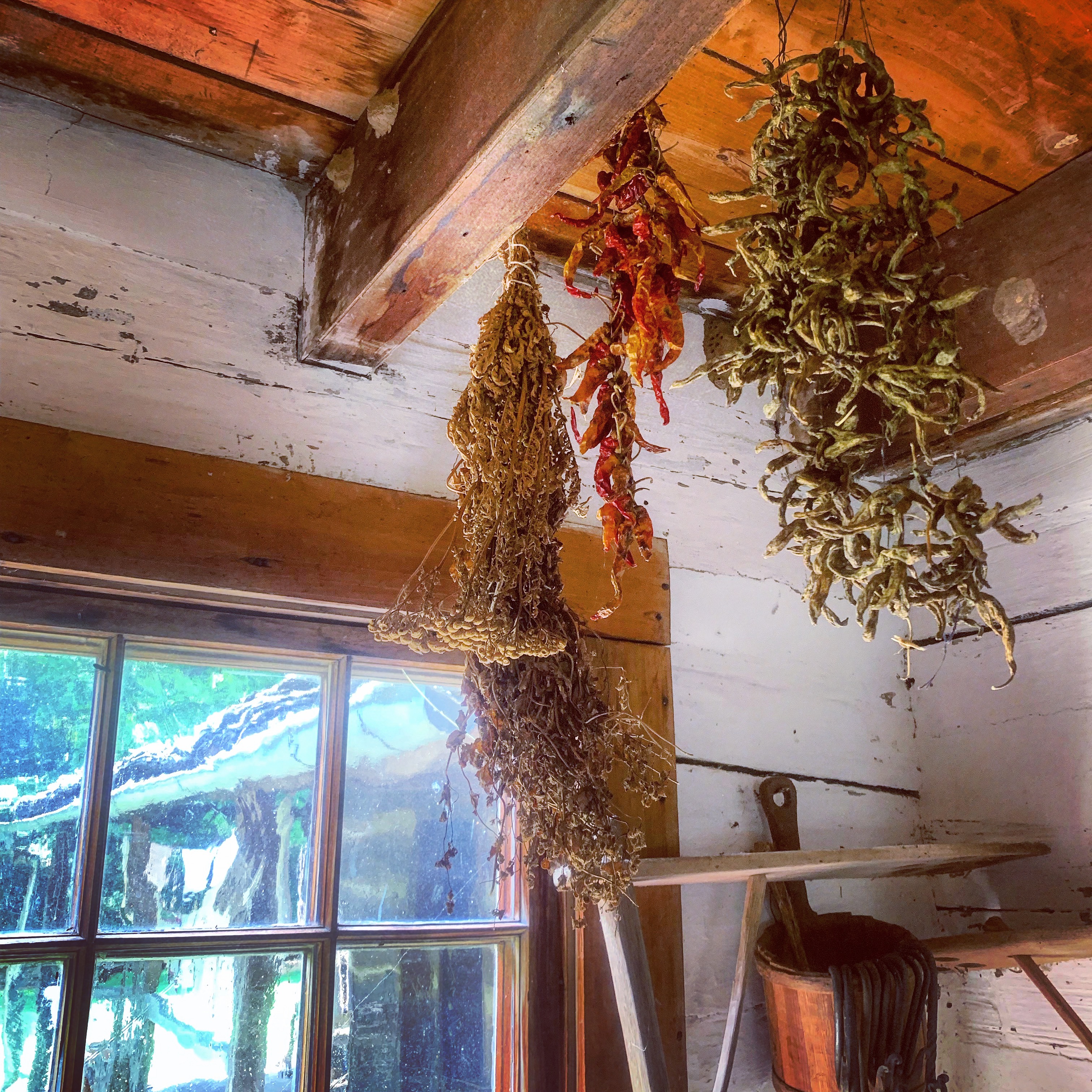 D99224D4-10D4-4967-BAD5-93761A9B73BC