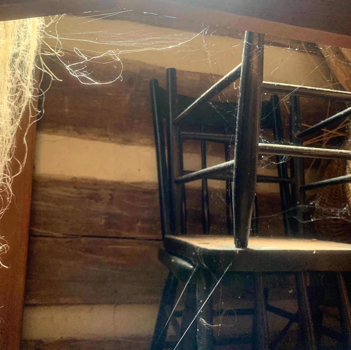 E0427ED4-357E-466A-A520-5C2ACFF37E49