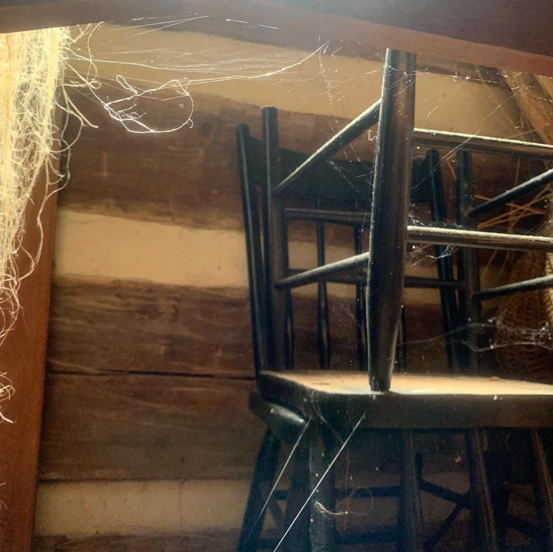 E0427ED4-357E-466A-A520-5C2ACFF37E49