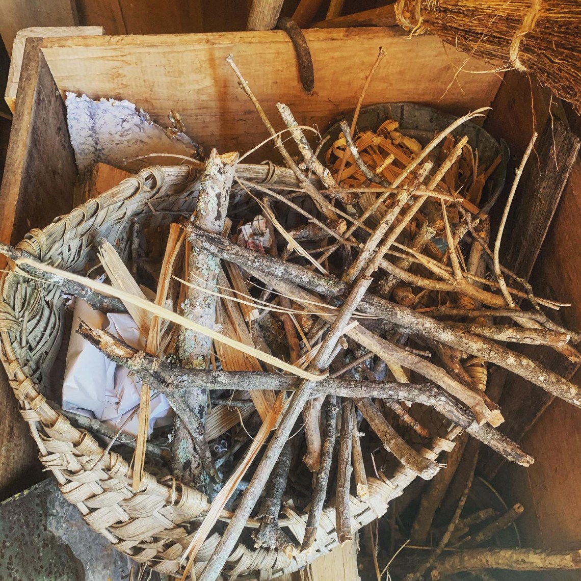 E2366DBA-0DB6-40DC-9FEA-6E86ECE96D41