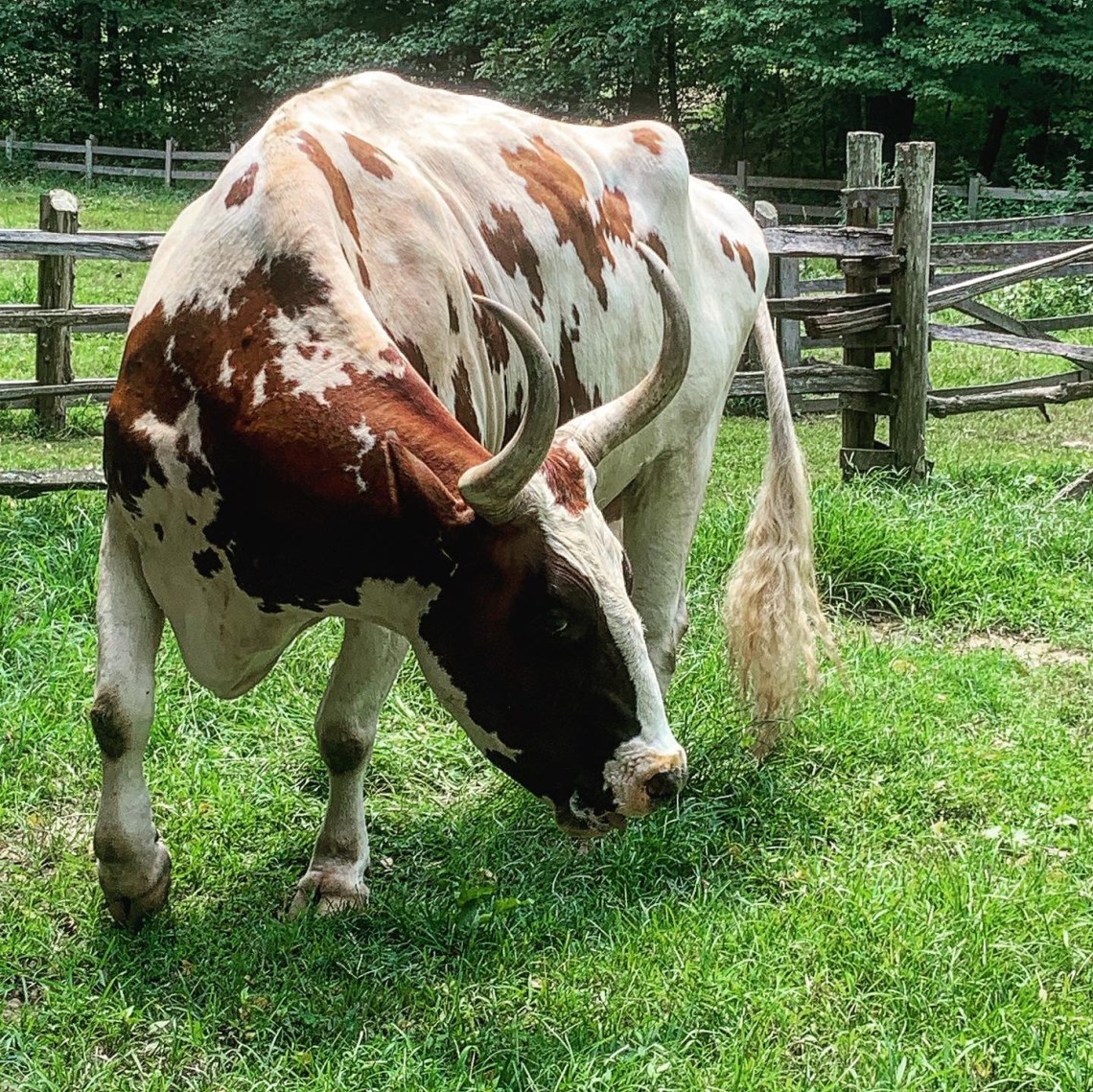 E2AD88F8-C493-4175-B252-EFD6F440DF68