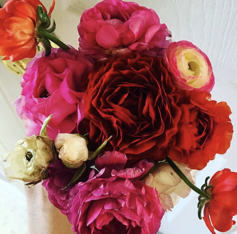 E9A608C0-04F2-428A-BB5F-5C17FC2A2057