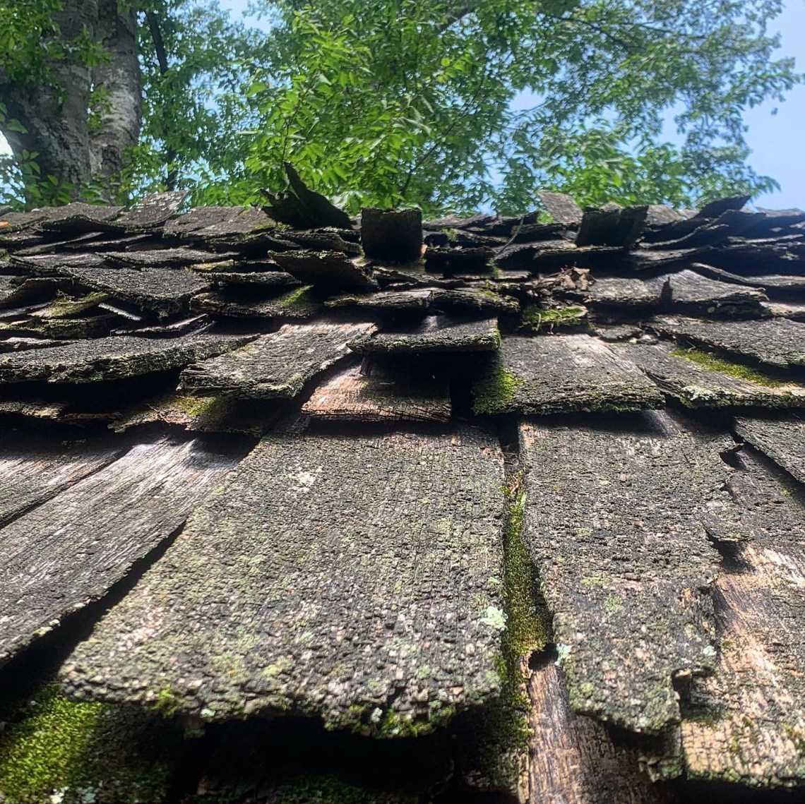 EB09D33E-F190-4446-A58D-8CE3624A2468