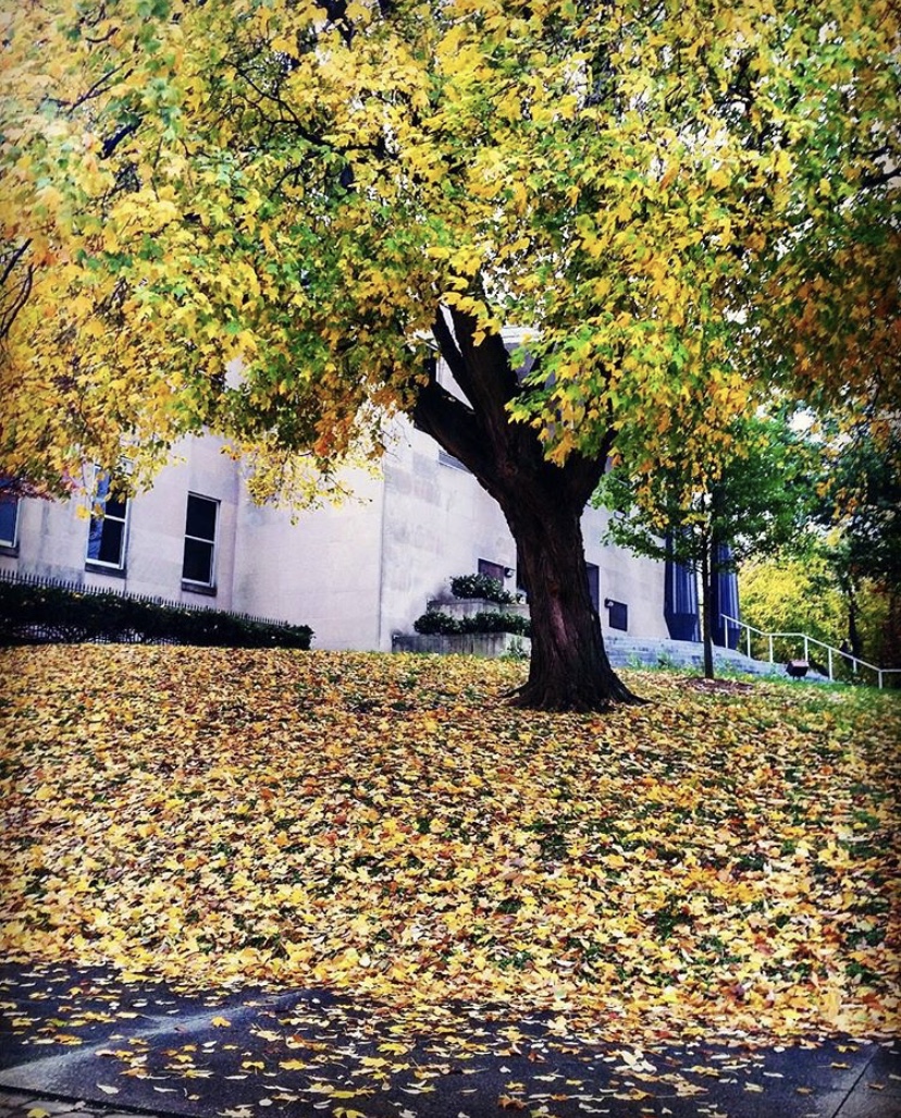 EDCDF8F3-7014-418A-A1B4-8541CF4DE095