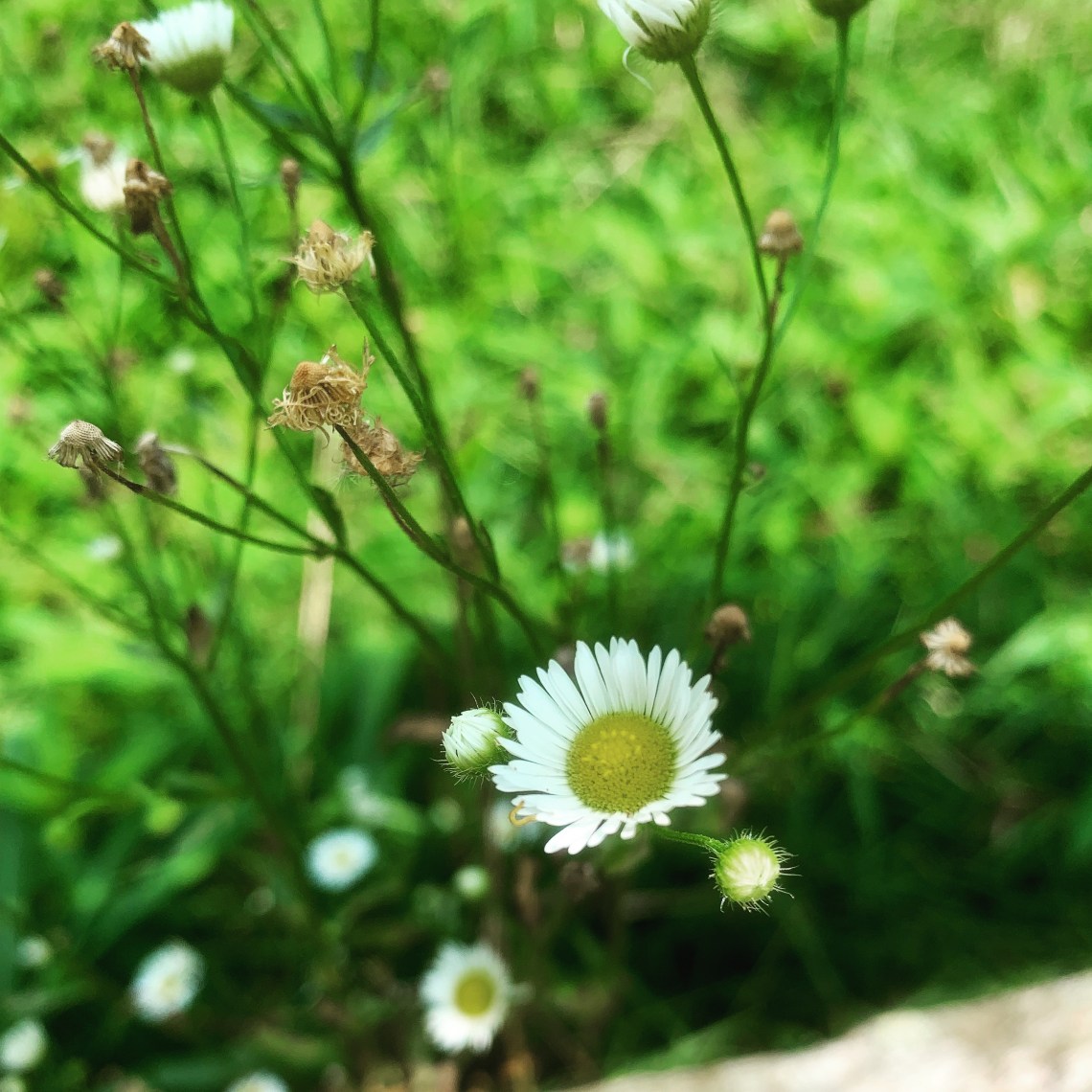 F827C9BA-F723-41B8-9EA2-DEF21AE19F4B