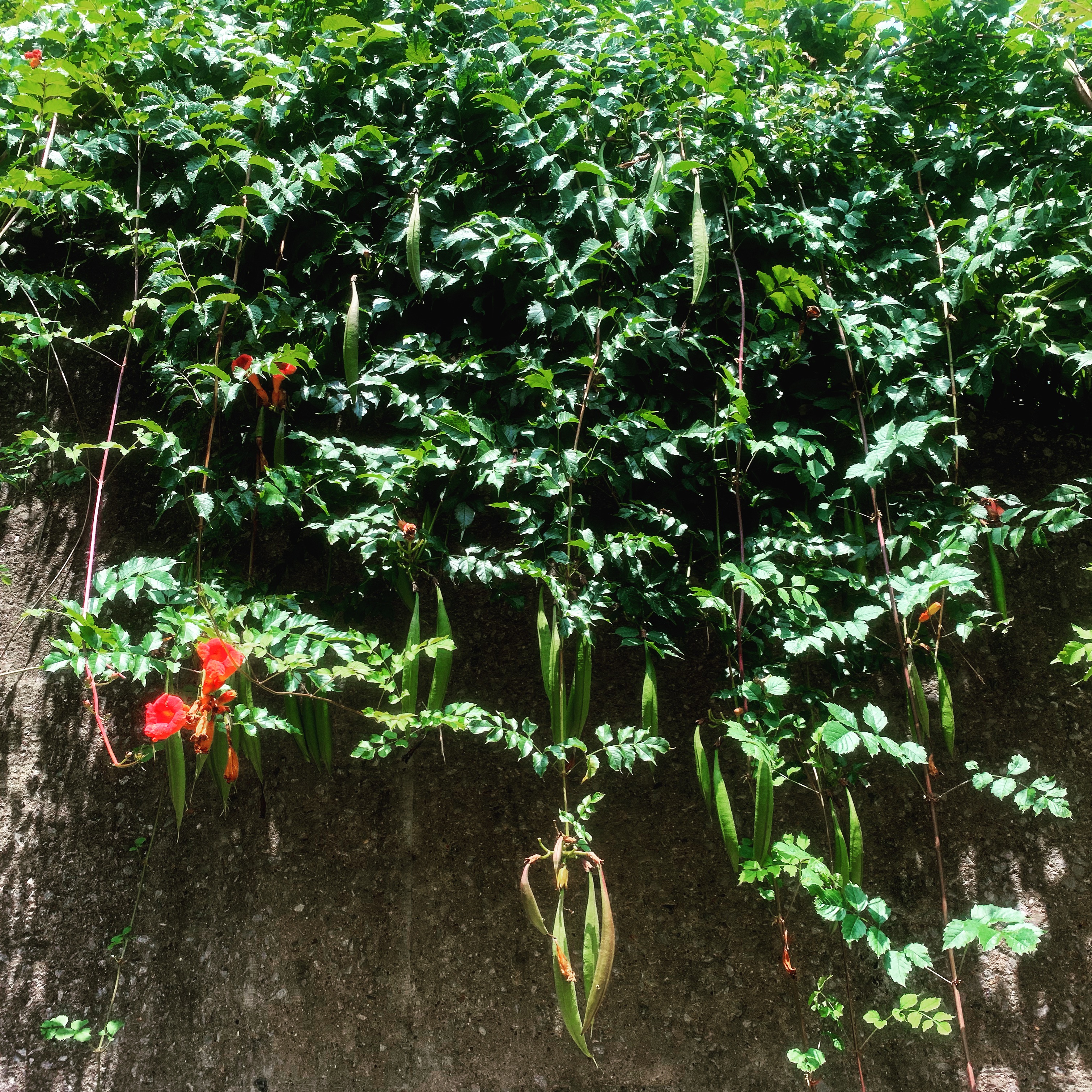 F87FACD1-C2EB-45AF-B3DC-030C88A94C5C