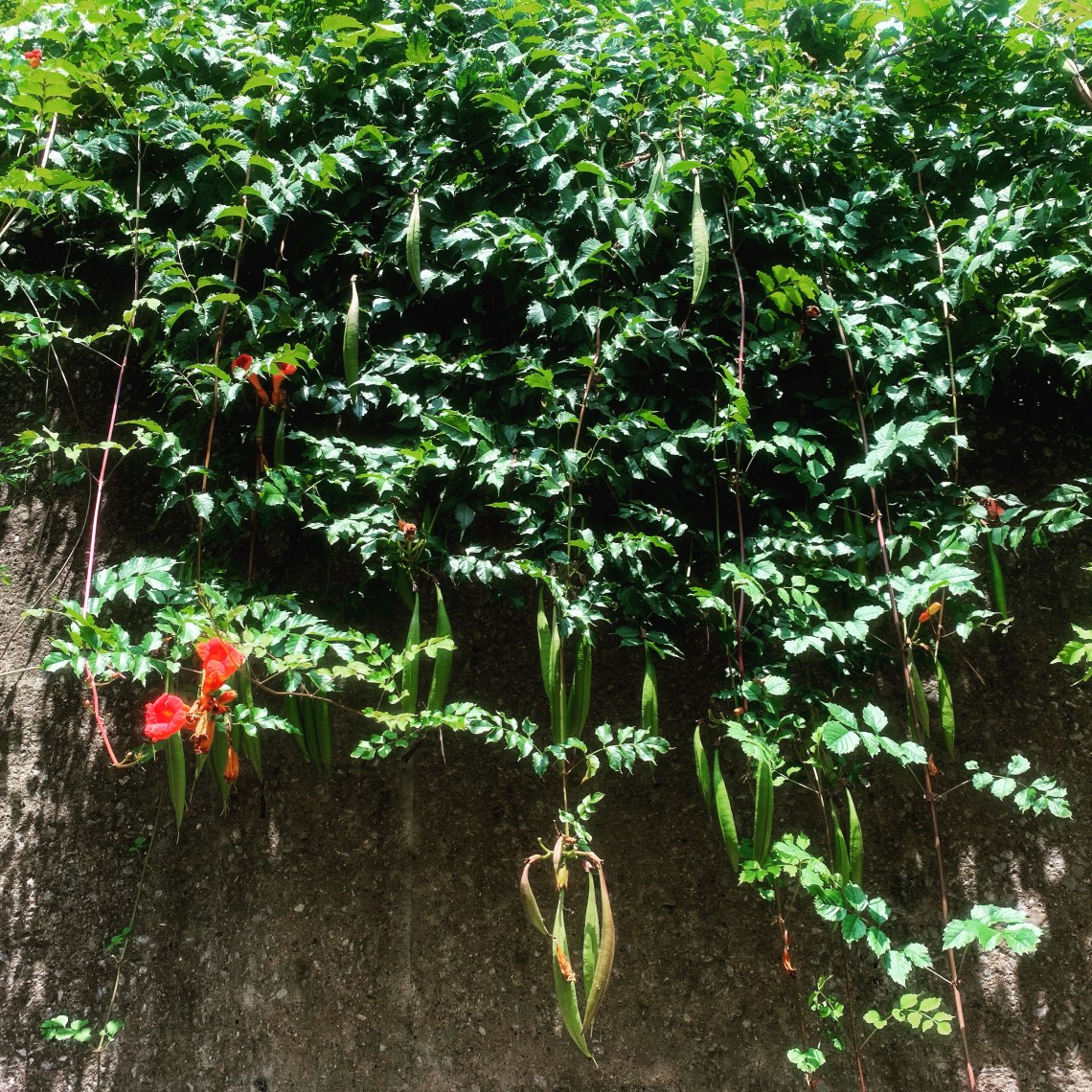 F87FACD1-C2EB-45AF-B3DC-030C88A94C5C